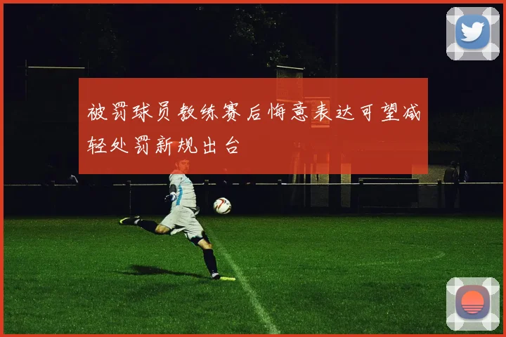 被罚球员教练赛后悔意表达可望减轻处罚新规出台